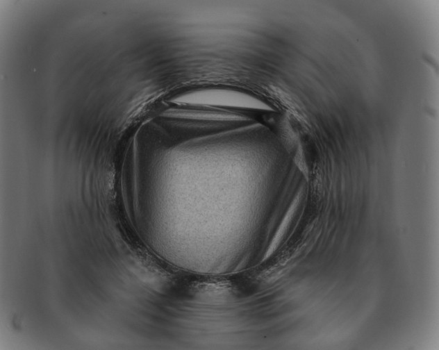 X0000091310548200708241116