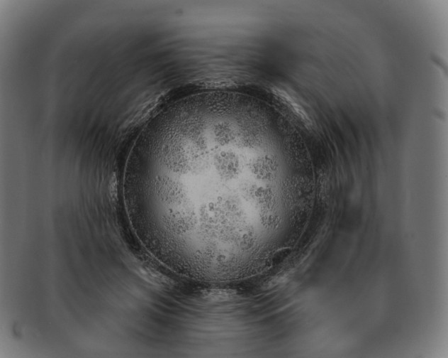 X0000091310549200708241116