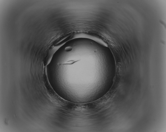 X0000091310550200708241116