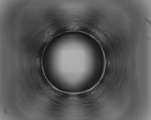 X0000091310551200708241116