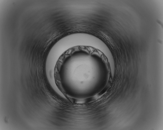 X0000091310552200708241116