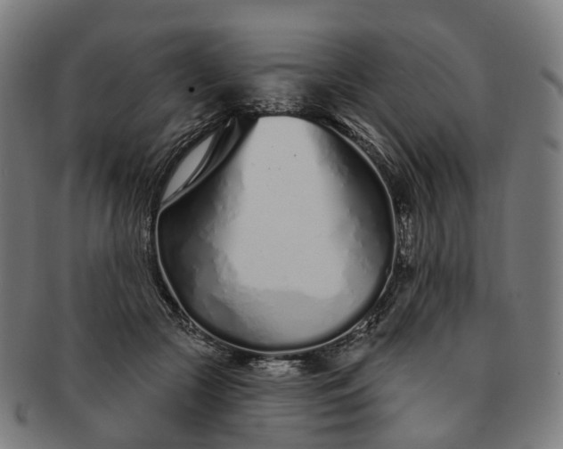 X0000091310553200708241116