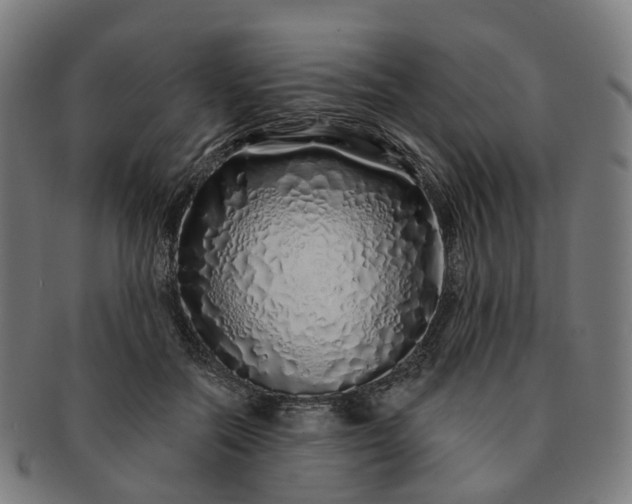 X0000091310554200708241116