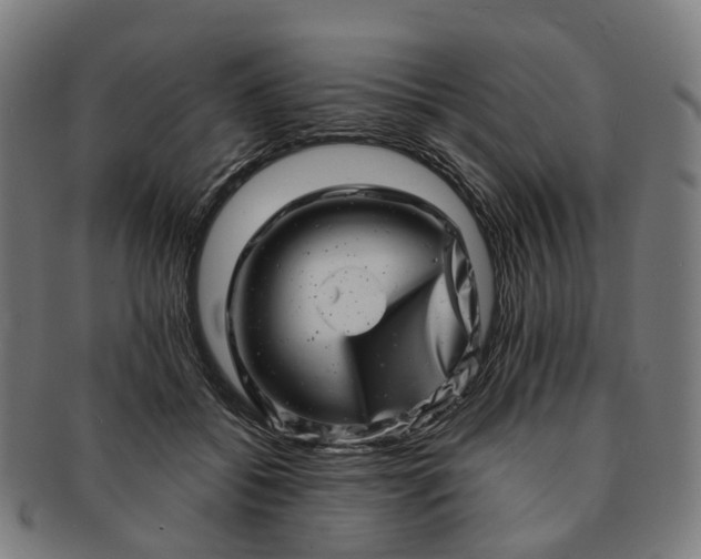 X0000091310556200708241116