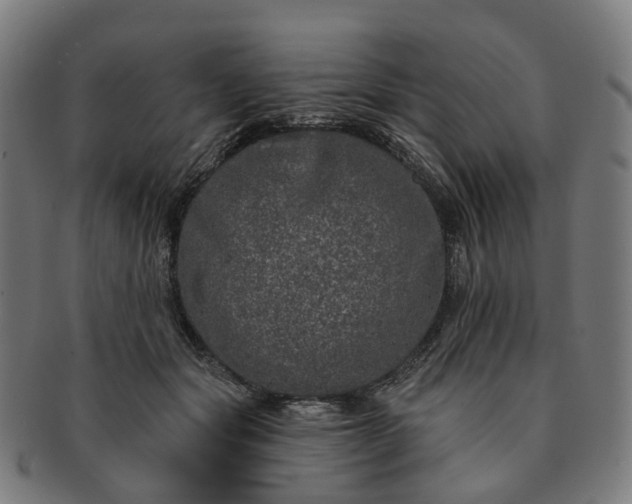 X0000091310557200708241116