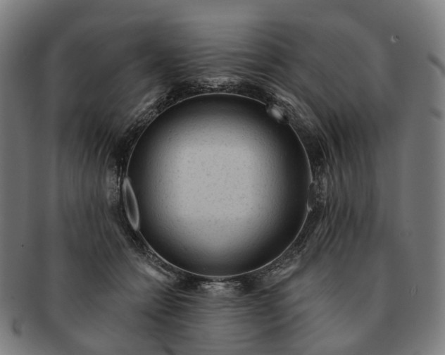 X0000091310558200708241116