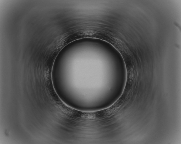 X0000091310559200708241116