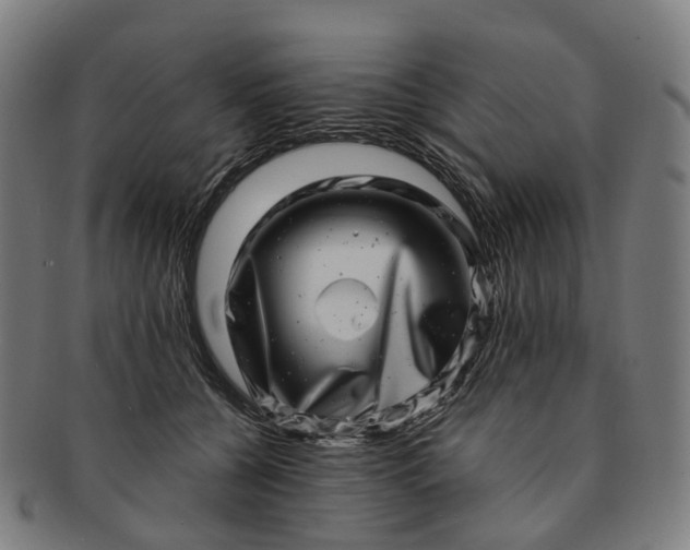 X0000091310560200708241116