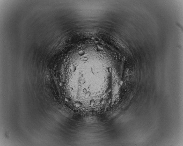 X0000091310561200708241116