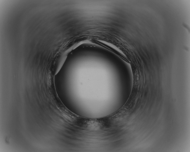 X0000091310562200708241116