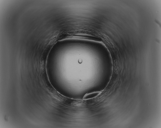 X0000091310563200708241116