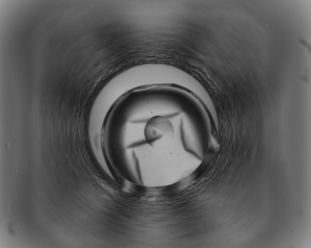 X0000091310564200708241116