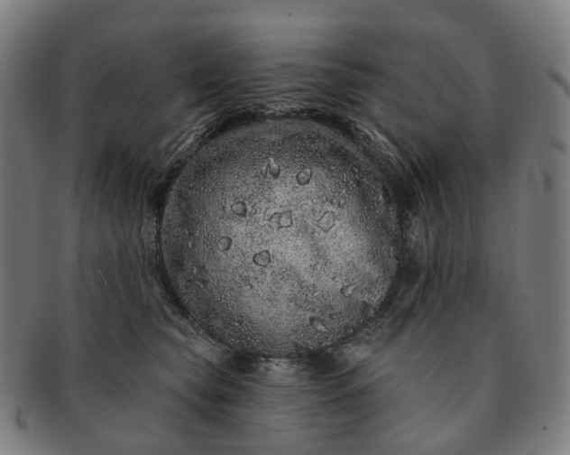 X0000091310565200708241116