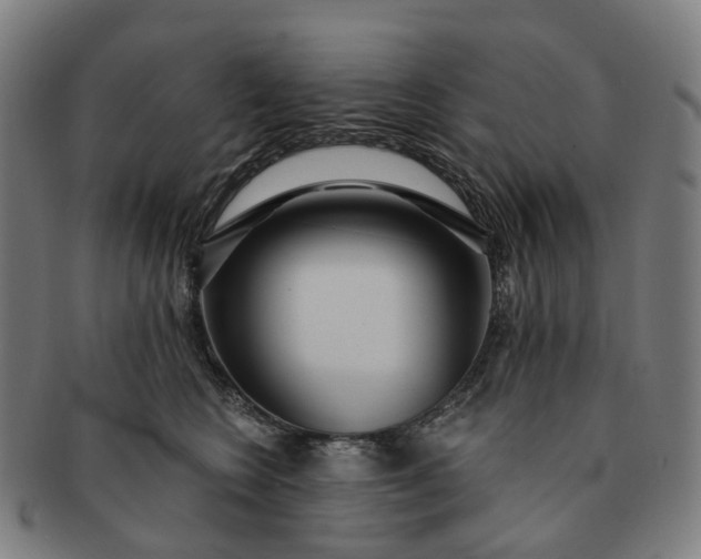 X0000091310566200708241116