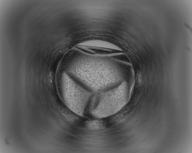 X0000091310567200708241116