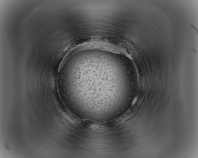 X0000091310568200708241116