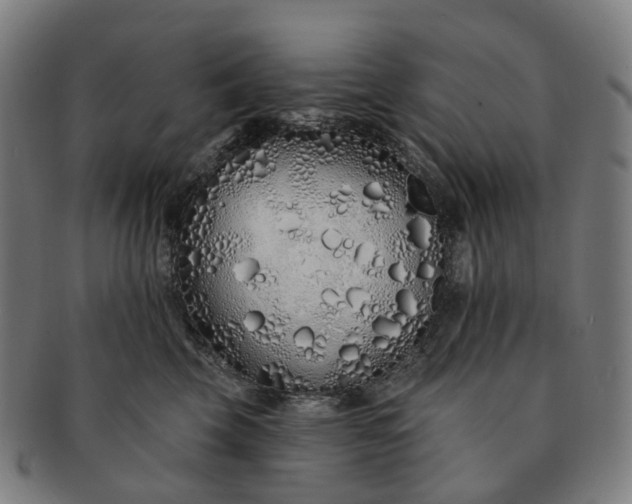 X0000091310569200708241116