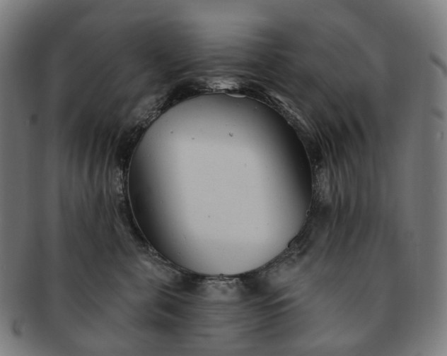 X0000091310571200708241116