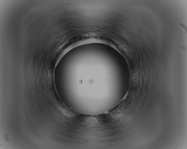 X0000091310572200708241116