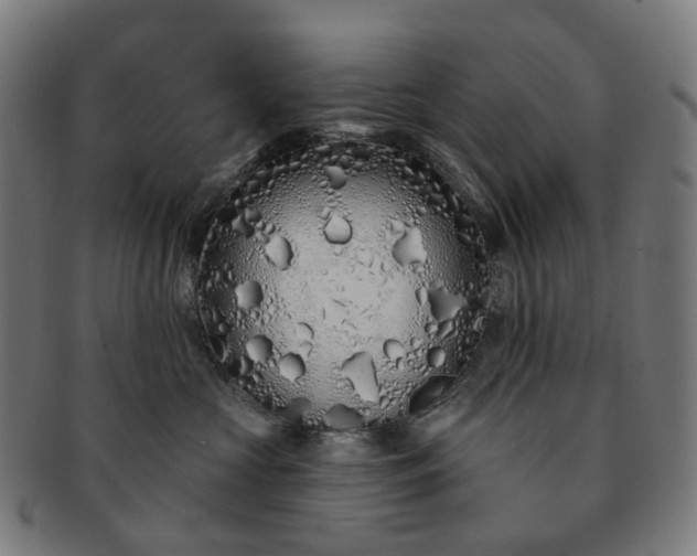 X0000091310573200708241116