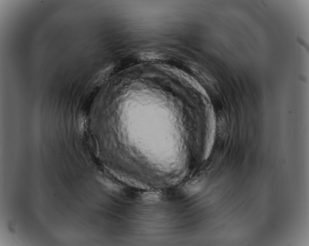 X0000091310574200708241116