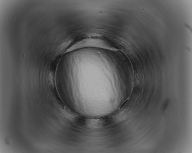 X0000091310575200708241116