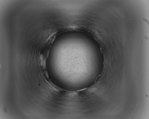 X0000091310576200708241116