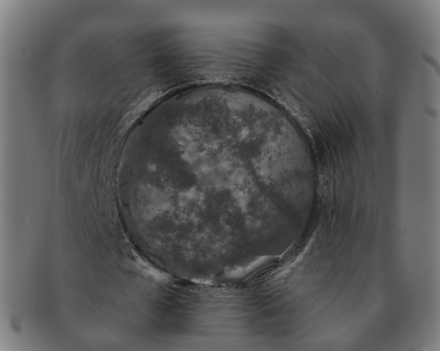 X0000091310577200708241115