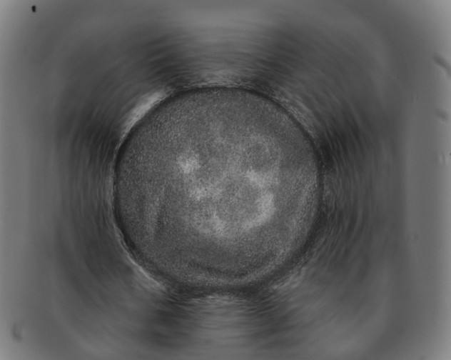 X0000091310578200708241115