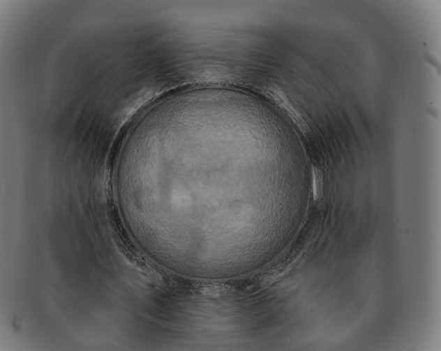 X0000091310579200708241115