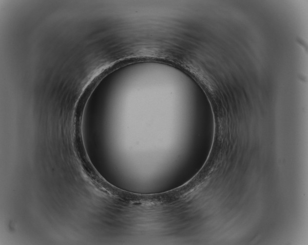 X0000091310580200708241115