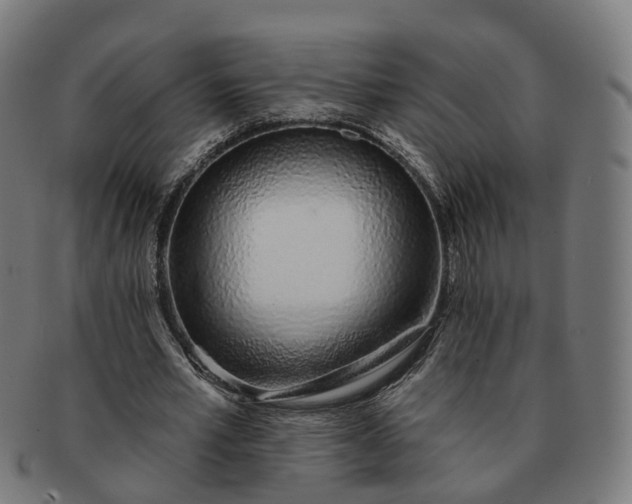 X0000091310581200708241115