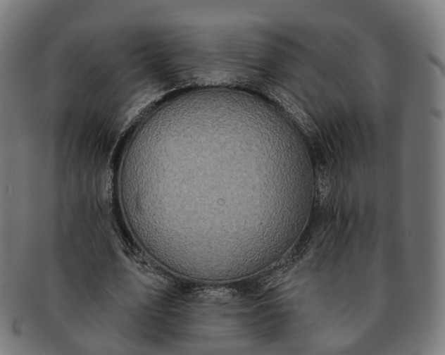 X0000091310583200708241115