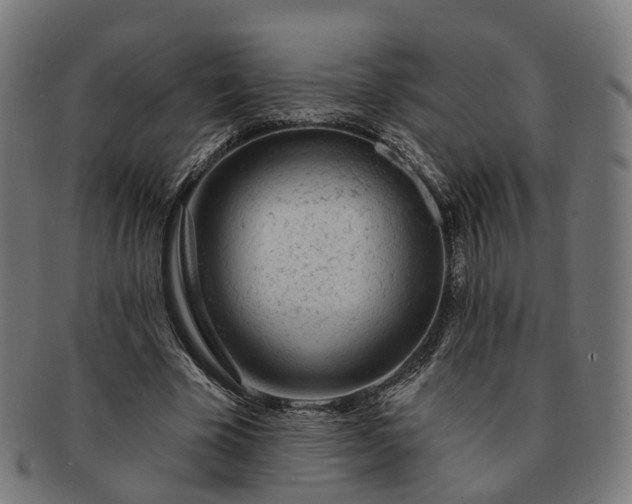 X0000091310585200708241115