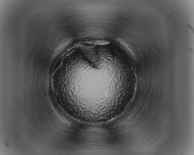 X0000091310586200708241115