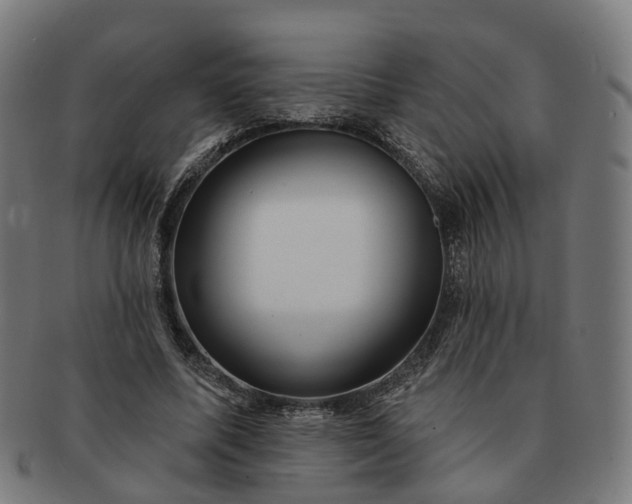 X0000091310587200708241115