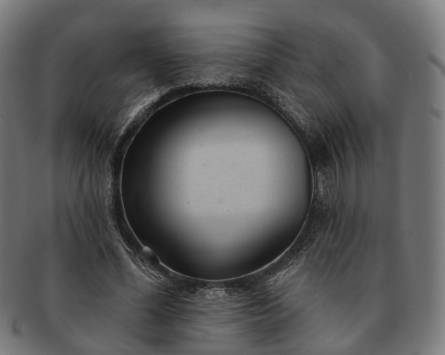 X0000091310588200708241115