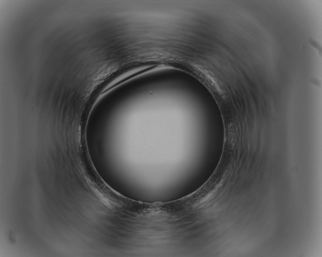 X0000091310589200708241115