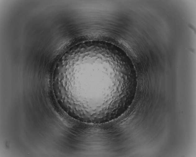 X0000091310590200708241115