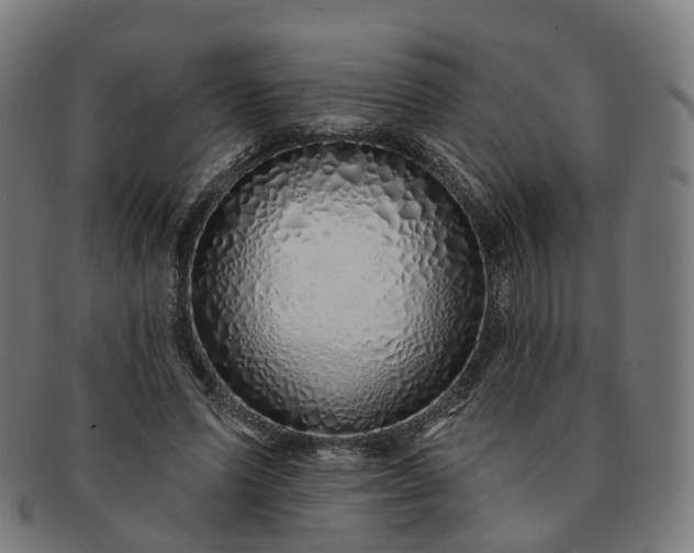 X0000091310591200708241115