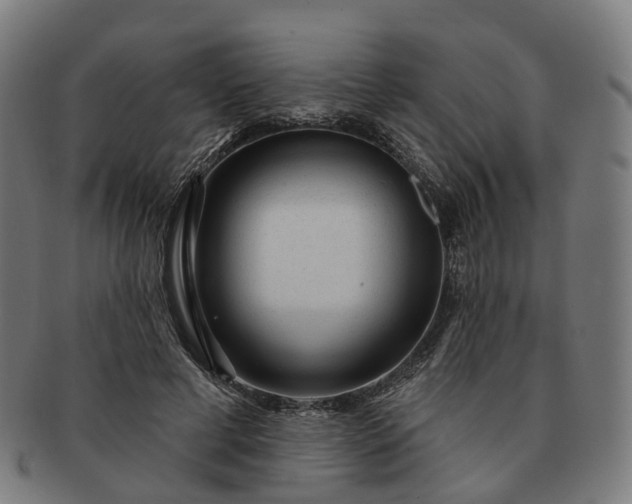 X0000091310593200708241115