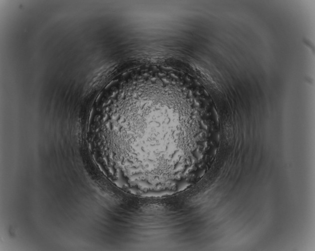 X0000091310594200708241115