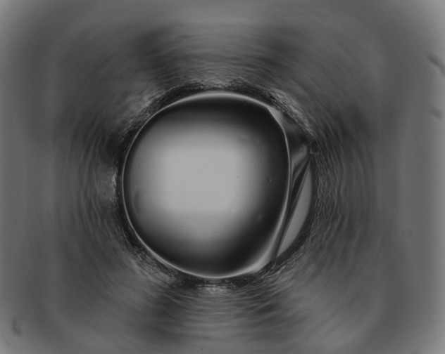 X0000091310596200708241115