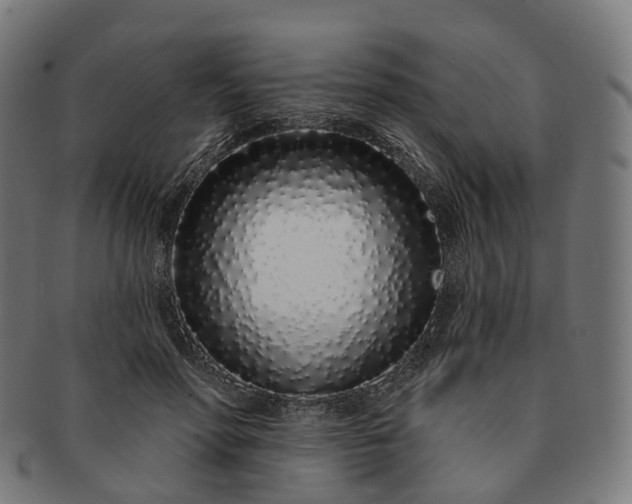 X0000091310598200708241115