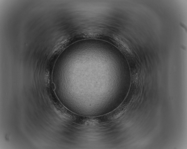 X0000091310599200708241115