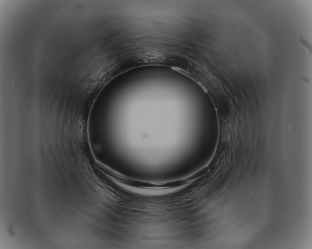 X0000091310604200708241115