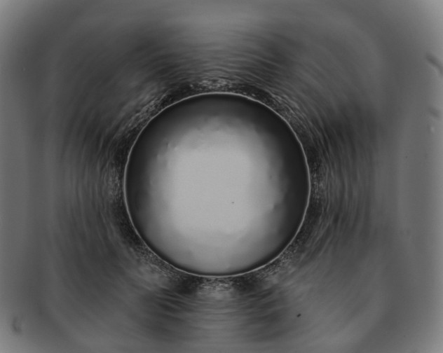 X0000091310606200708241115