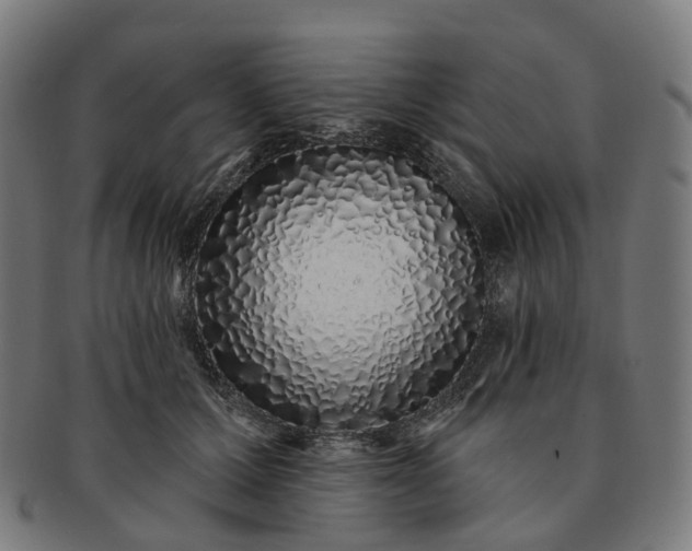 X0000091310607200708241115