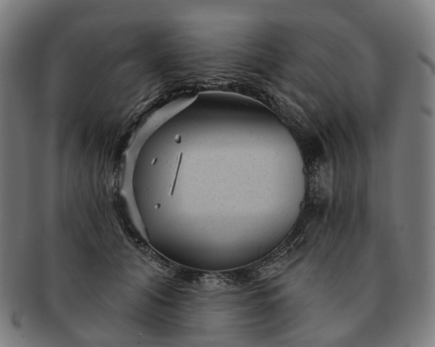 X0000091310608200708241115