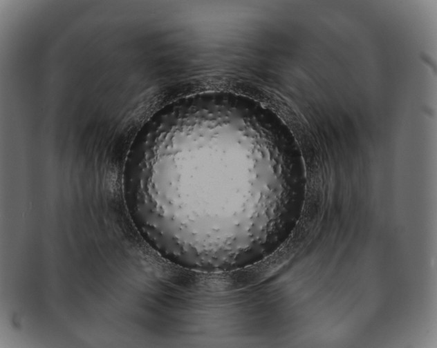 X0000091310610200708241115